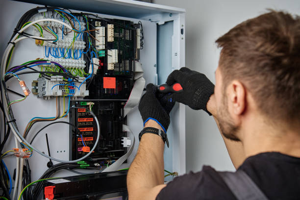 Licensed Electrical Panel Upgrade service in Linden, MI - No Joke electrician